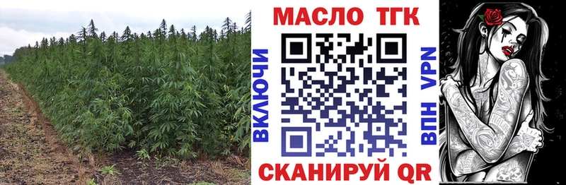 ТГК вейп  где найти   Весьегонск 
